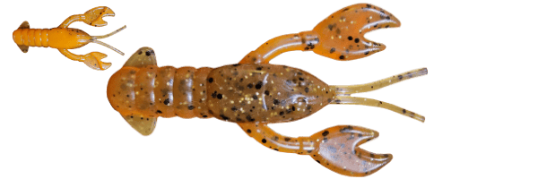 Lake Simcoe Goby (020) - Popular!