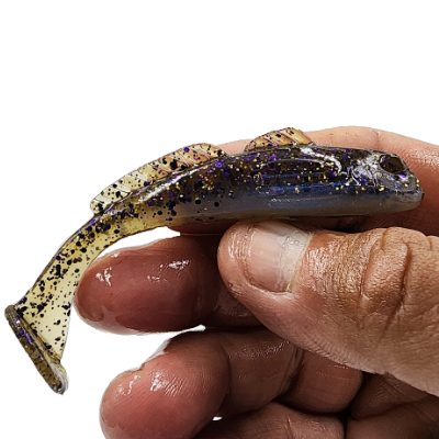 goliath-swim-goby-purple-pearl