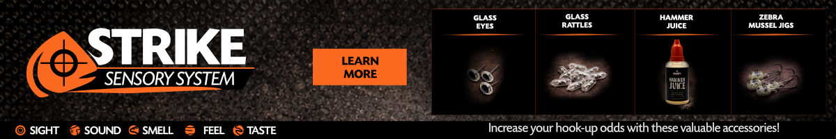 Strike Sensory System