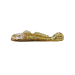 GOLIATH GOBY CLEARANCE