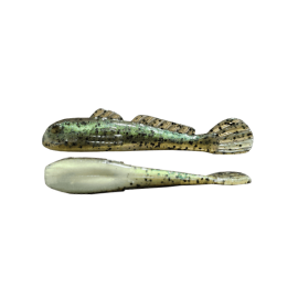 GOLIATH GOBY