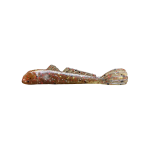 MINI GOBY CLEARANCE