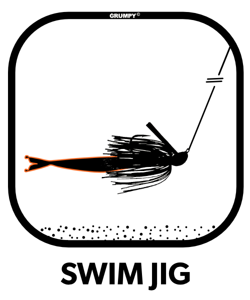 Minn-Fin-SWIM-Jig-Fishing-Technique