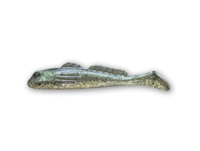 Golden Shiner (091)