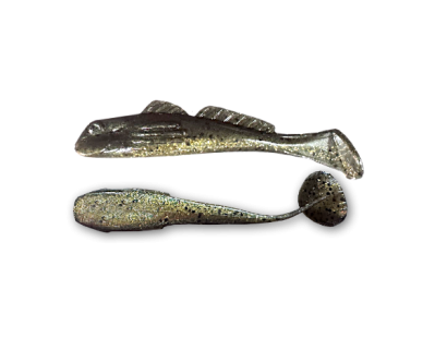 Golden Shiner (091)