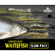 Green Bay Whitefish Slam Pack