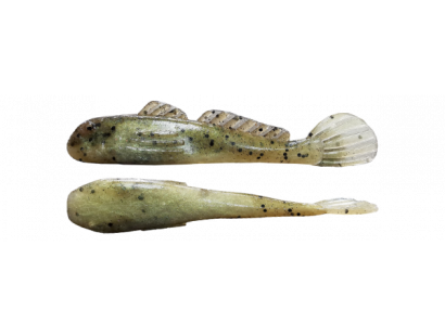 GOLIATH GOBY - NEW FOR 2021